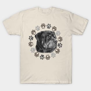 Rottweiler the boss dog T-Shirt